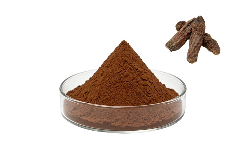 Cistanche Deserticola Extract